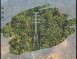 Laporan TCFD Pertama Diluncurkan PLN Guna Mendukung Transisi Energi Rendah Karbon