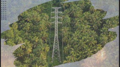 Laporan TCFD Pertama Diluncurkan PLN Guna Mendukung Transisi Energi Rendah Karbon