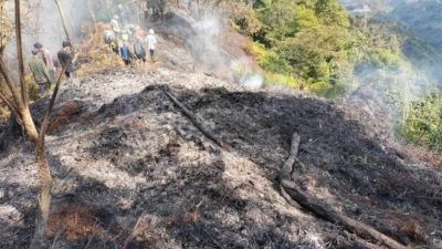 BPBD Jabar Menginformasikan Kebakaran Hutan Gunung Salak Berhasil Dipadamkan
