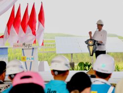 Dirut PLN Siap Penuhi Kebutuhan Listrik Dari Energi Bersih Saat Dampingi Kunjungan Presiden di IKN