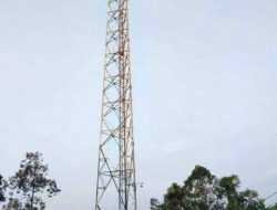 Warga Cikaret Cibinong, Adukan Pembangunan Tower BTS ke Mako Satpol PP Kabupaten Bogor