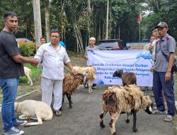 Tirta Kahuripan Bagikan Hewan Kurban  Untuk Masjid di Lingkungan Perusahaan