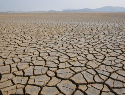 Dinas TPH Sediakan Bantuan Benih Padi Varietas Tahan Kering Kepada Petani untuk Hadapi Dampak El Nino