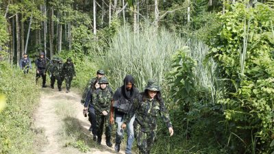 BNN RI MENGGELAR KEMBALI PEMUSNAHAN LADANG GANJA DI PROVINSI ACEH