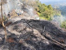 BPBD Jabar Menginformasikan Kebakaran Hutan Gunung Salak Berhasil Dipadamkan