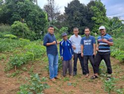 Pengembang Merajalela, Sewa Lahan Pertanian di Babakan Madang Mahal