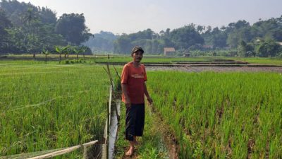 Petani Desa Caringin Bogor, Keluhkan Oknum Distributor Nakal yang Tak Bolehkan Pembelian Pupuk Bersubsidi