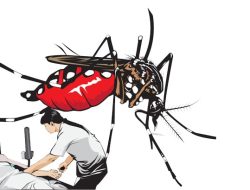 Dinkes Bogor Ajak Masyarakat Konsisten Lakukan PSN Demi Tangani Kasus DBD