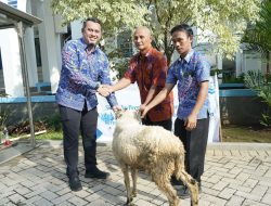 Tirta Kahuripan Serahkan 79 Hewan Kurban