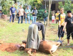 JJB Ikut Menyambut Perayaan Idul Adha 1445 H, dengan Salurkan Enam Ekor Hewan Kurban