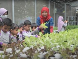 Edufarm Malakasari: Transformasi Lahan Kota Menjadi Oase Pendidikan
