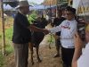 Sambut Idul Adha, Ketua DPP PSI Irfan Aghasar Salurkan 8 Ekor Sapi Kurban di Kota Bogor dan Cianjur