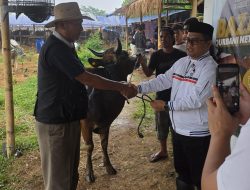 Sambut Idul Adha, Ketua DPP PSI Irfan Aghasar Salurkan 8 Ekor Sapi Kurban di Kota Bogor dan Cianjur